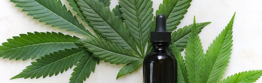 Best CBD SEO Advice to Sell CBD Oil and other Cannabis Products in 2020