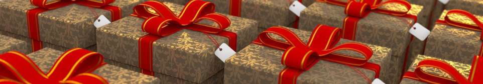 Holiday Packages