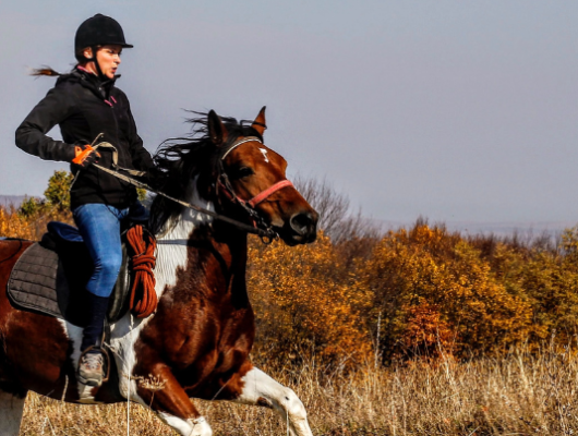 Woman riding on horse in open field