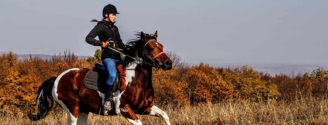 Woman riding on horse in open field