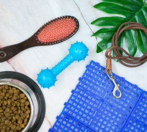 Various pet supplies, leash, toys, and bowl of dry petfood on white background