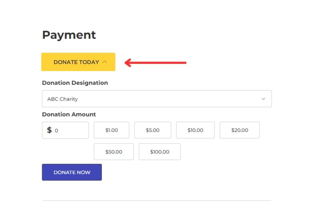 View of BigCommerce Payment options that shows "Donate Today" button